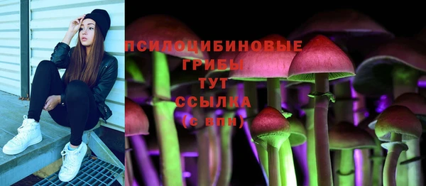 амф Белоозёрский