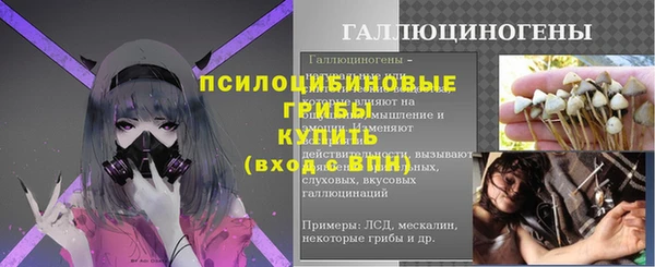 apvp Белокуриха