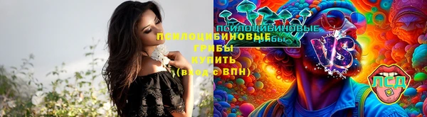 ECSTASY Беломорск