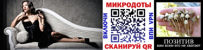 Галлюциногенные грибы прущие грибы  Высоцк 